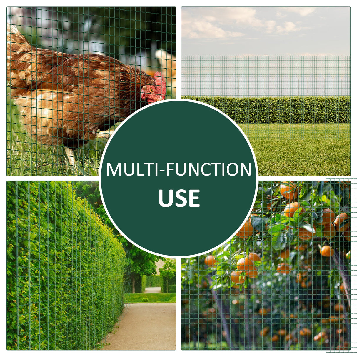 PVC Coated Welded Wire Mesh Fencing Chicken Poultry Aviary Fence Run Hutch Pet Rabbit 30m Dark Green-3