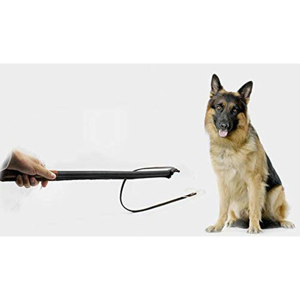 Dog Training Whip Leather-3