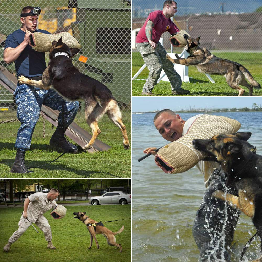 Dog Training Arm Sleeve Professional Dog Training Set-1