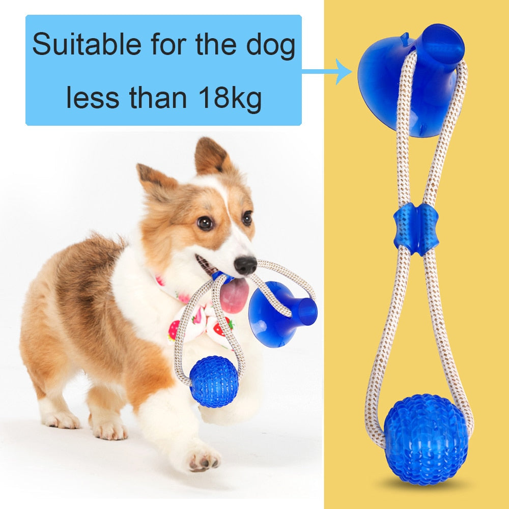 3Pcs Multifunction Pet Molar Bite Dog Toys Rubber Chew Ball Cleaning Teeth Safe Elasticity Soft Puppy Suction Cup Dog Biting Toy-9