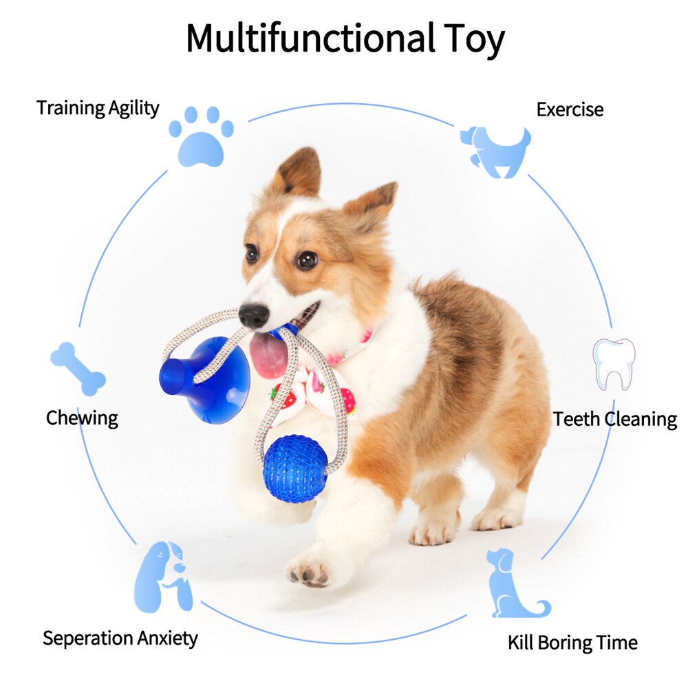 3Pcs Multifunction Pet Molar Bite Dog Toys Rubber Chew Ball Cleaning Teeth Safe Elasticity Soft Puppy Suction Cup Dog Biting Toy-10